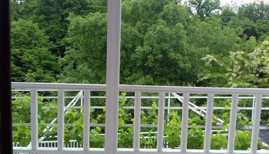 House in the nature_2